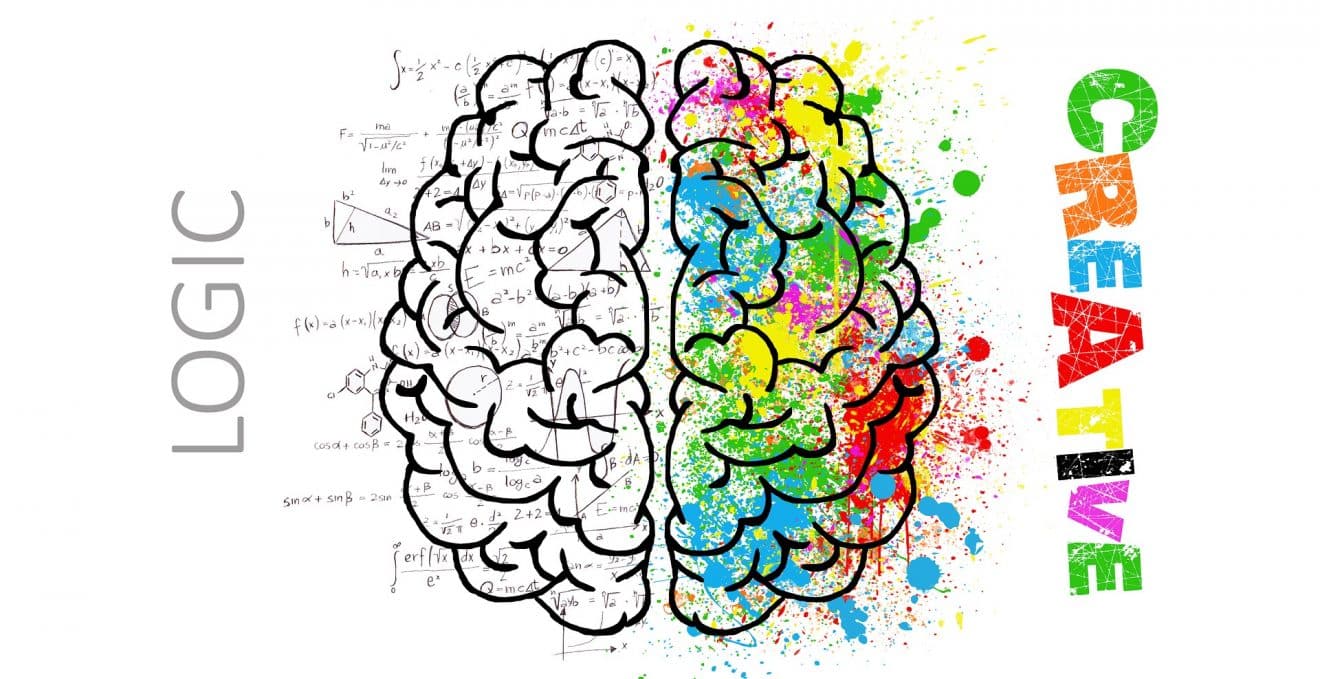 Ein persönlicher Erfahrungsbericht zum Kurs Optimale Gehirnorganisation