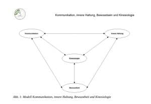 Read more about the article Kommunikation, innere Haltung, Bewusstsein und Kinesiologie – ein Rückblick auf 3 Jahre Ausbildung im IKL