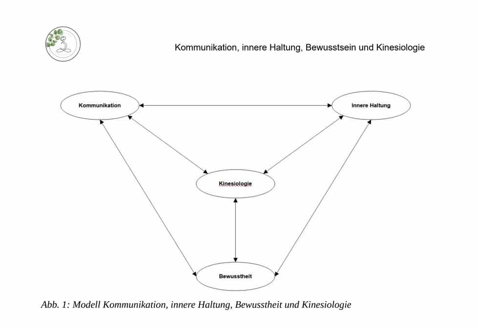 You are currently viewing Kommunikation, innere Haltung, Bewusstsein und Kinesiologie – ein Rückblick auf 3 Jahre Ausbildung im IKL